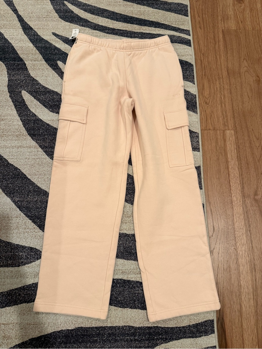 NWT Aritzia Cargo sweatpants